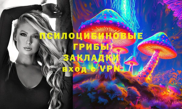 ПСИЛОЦИБИНОВЫЕ ГРИБЫ Абдулино